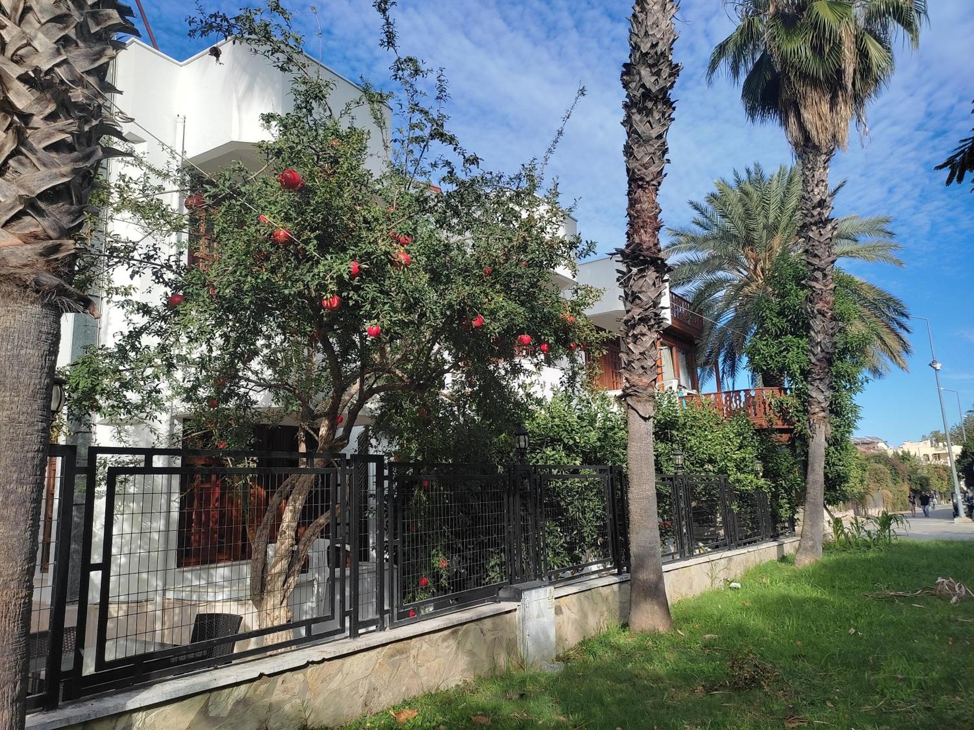 Garden Prizma Pension Kemer Zimmer foto